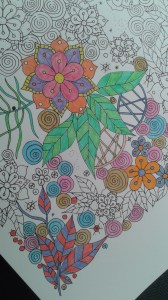 adult colouring